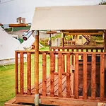 Gaviotas